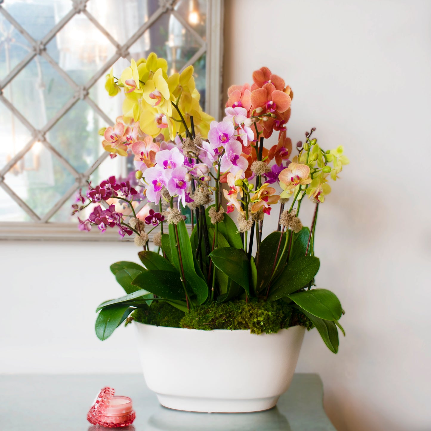 A Burst of Color