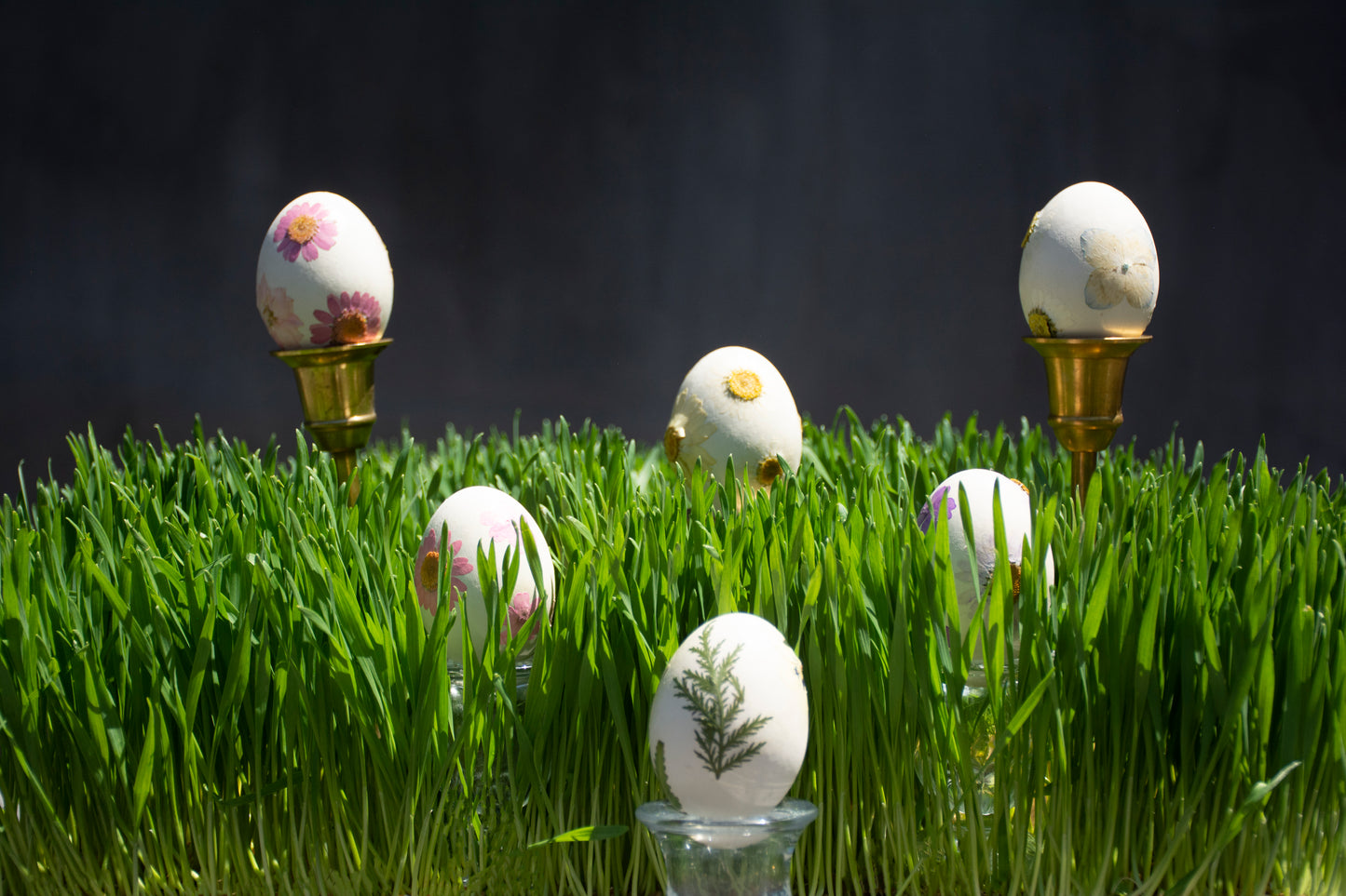 Empty Vase - Ceramic Eggs Limited Edition
