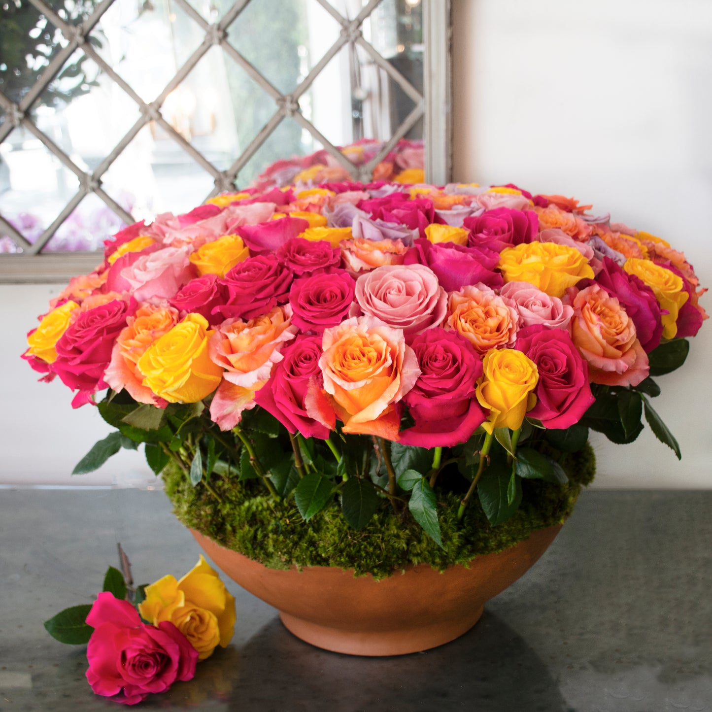 Potted Rose Garden