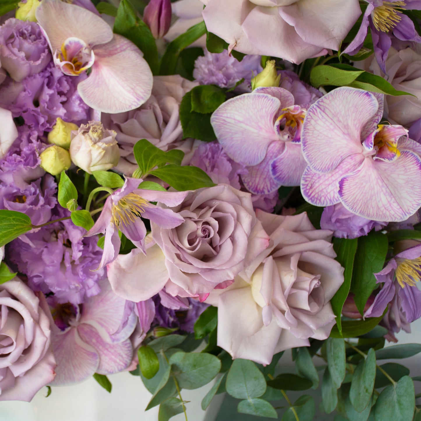 Lilac Love
