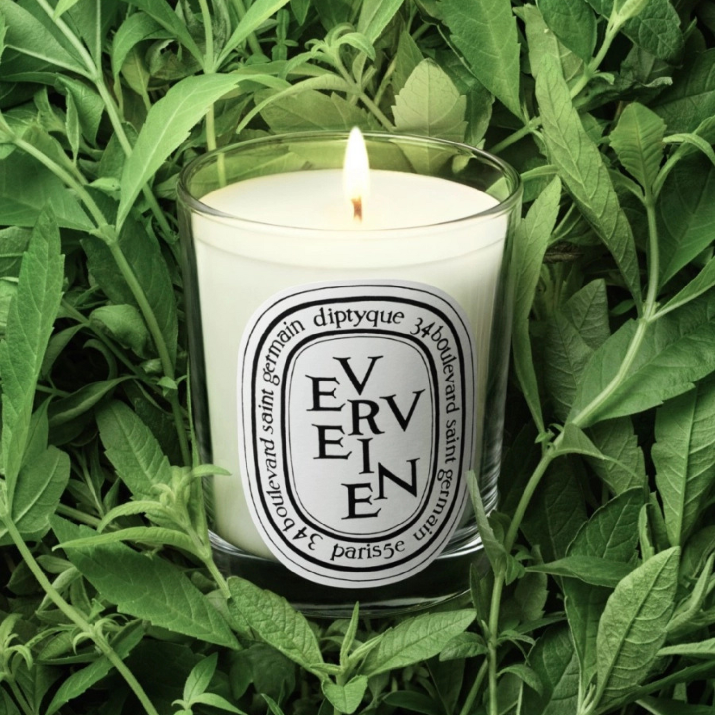 Diptyque - Classic Candle - Verveine