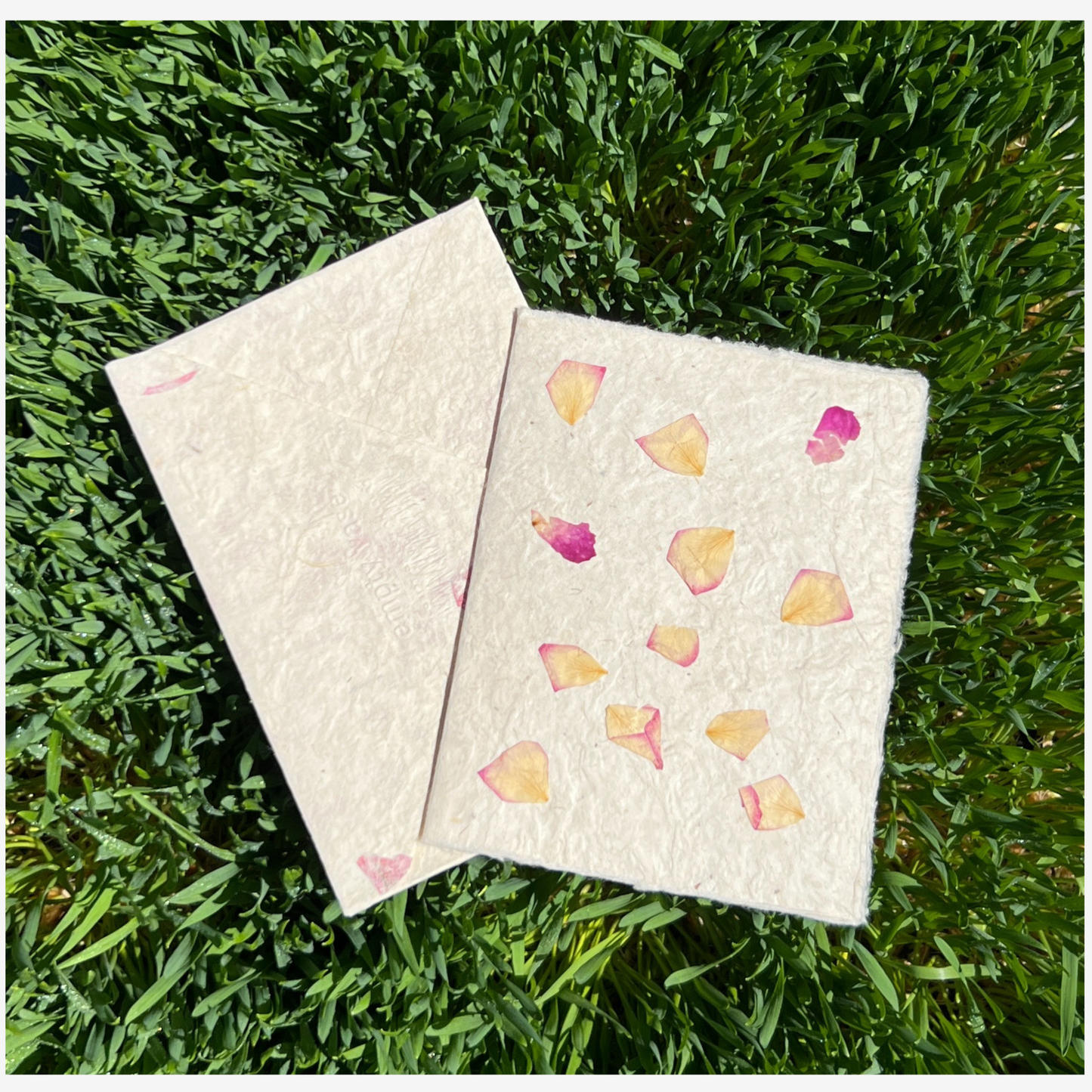 Empty Vase - Hand-made Pressed Flower Greeting Cards