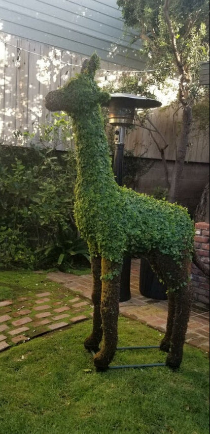 Giraffe Topiary