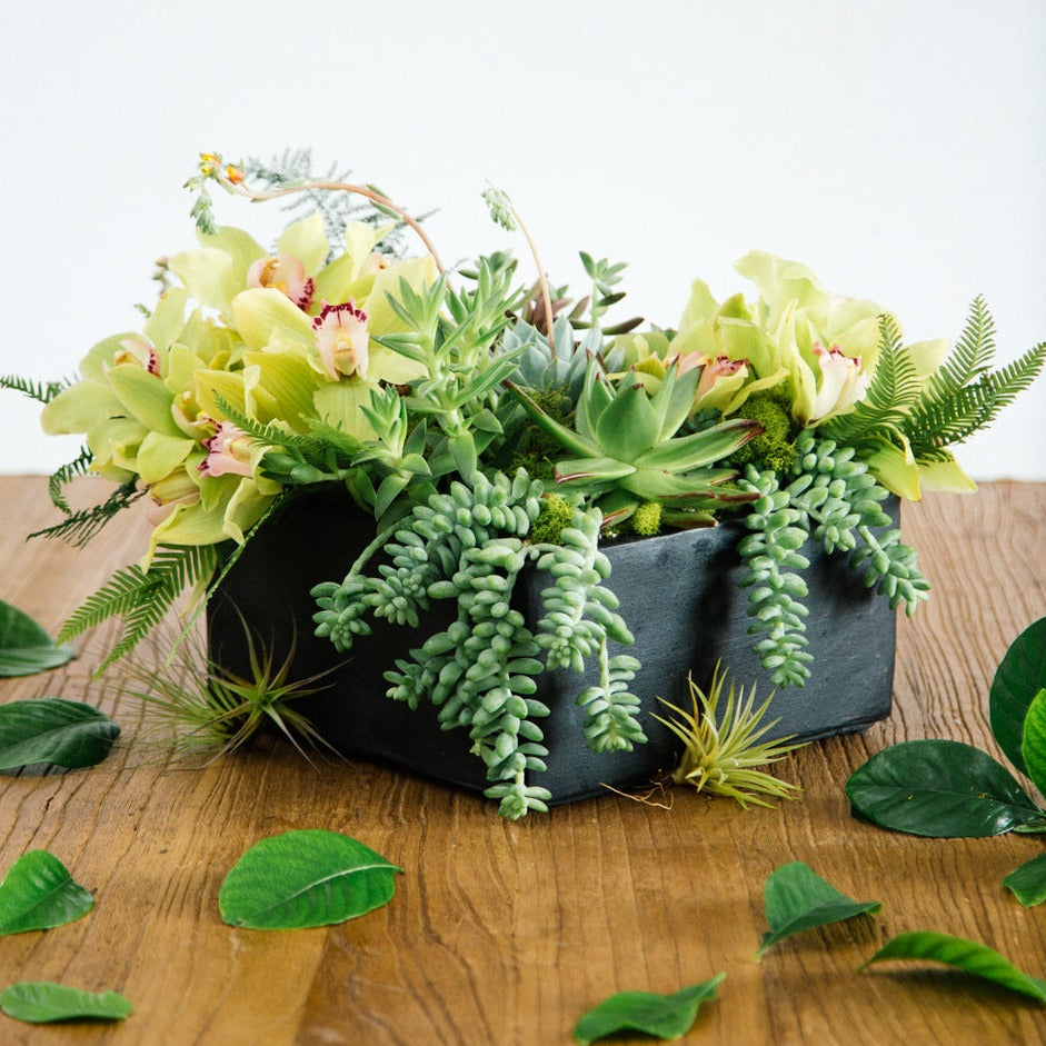 Spring Eternal