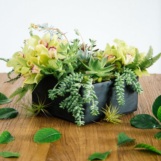 Spring Eternal