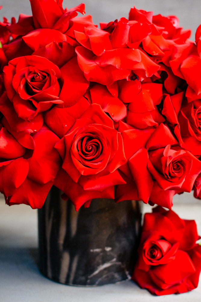 Queen of Hearts