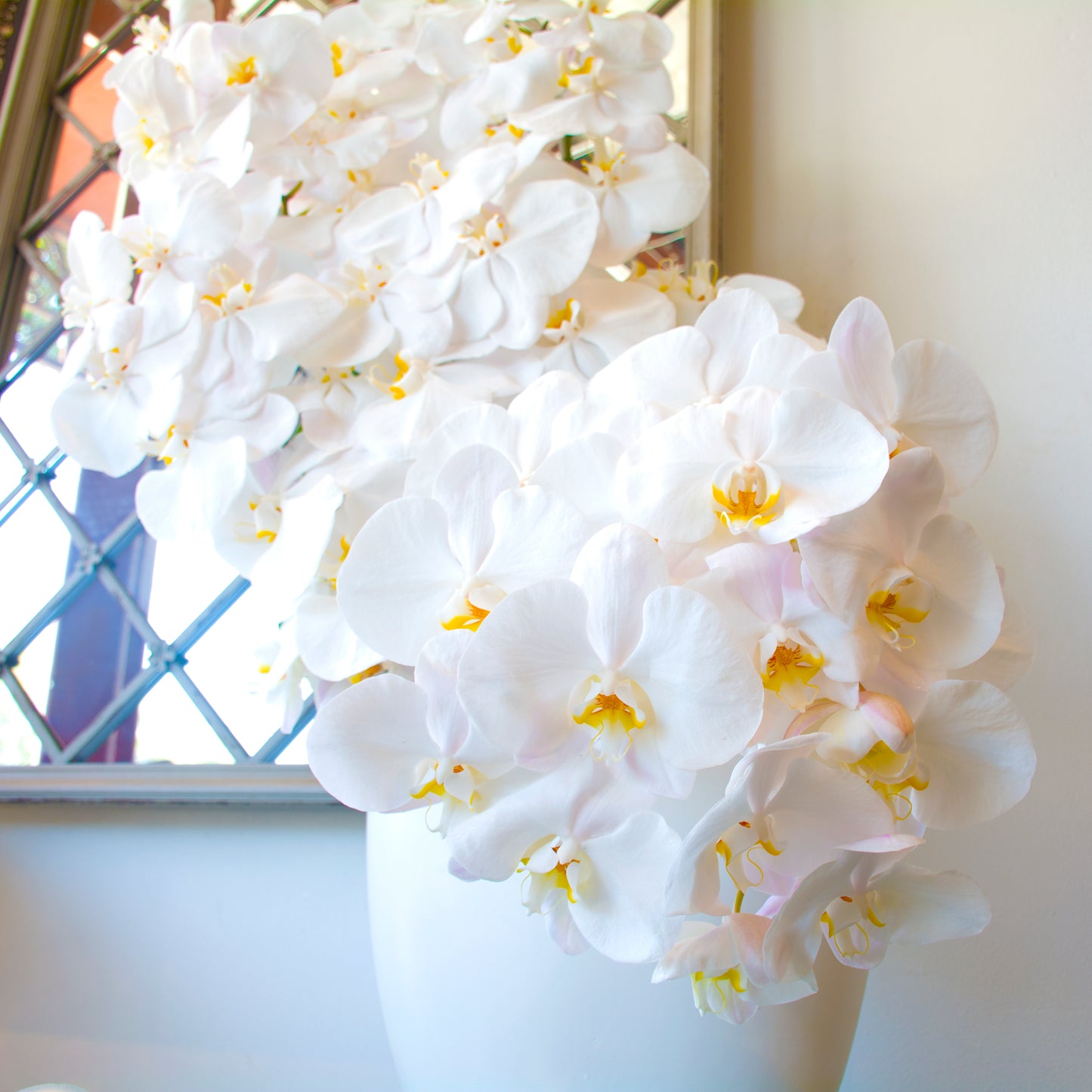 A Waterfall of Orchids