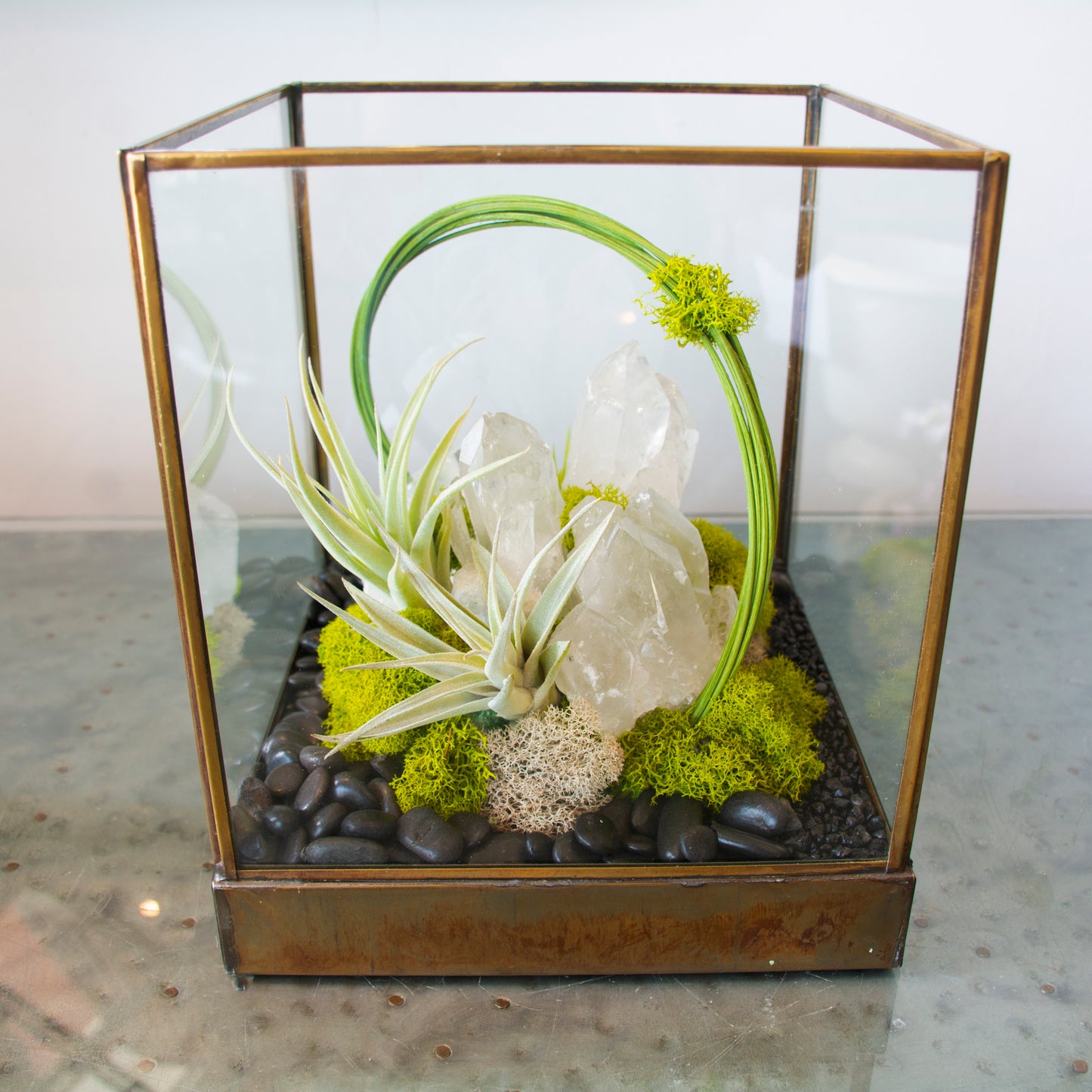 Green Serene - One of a Kind Terrarium