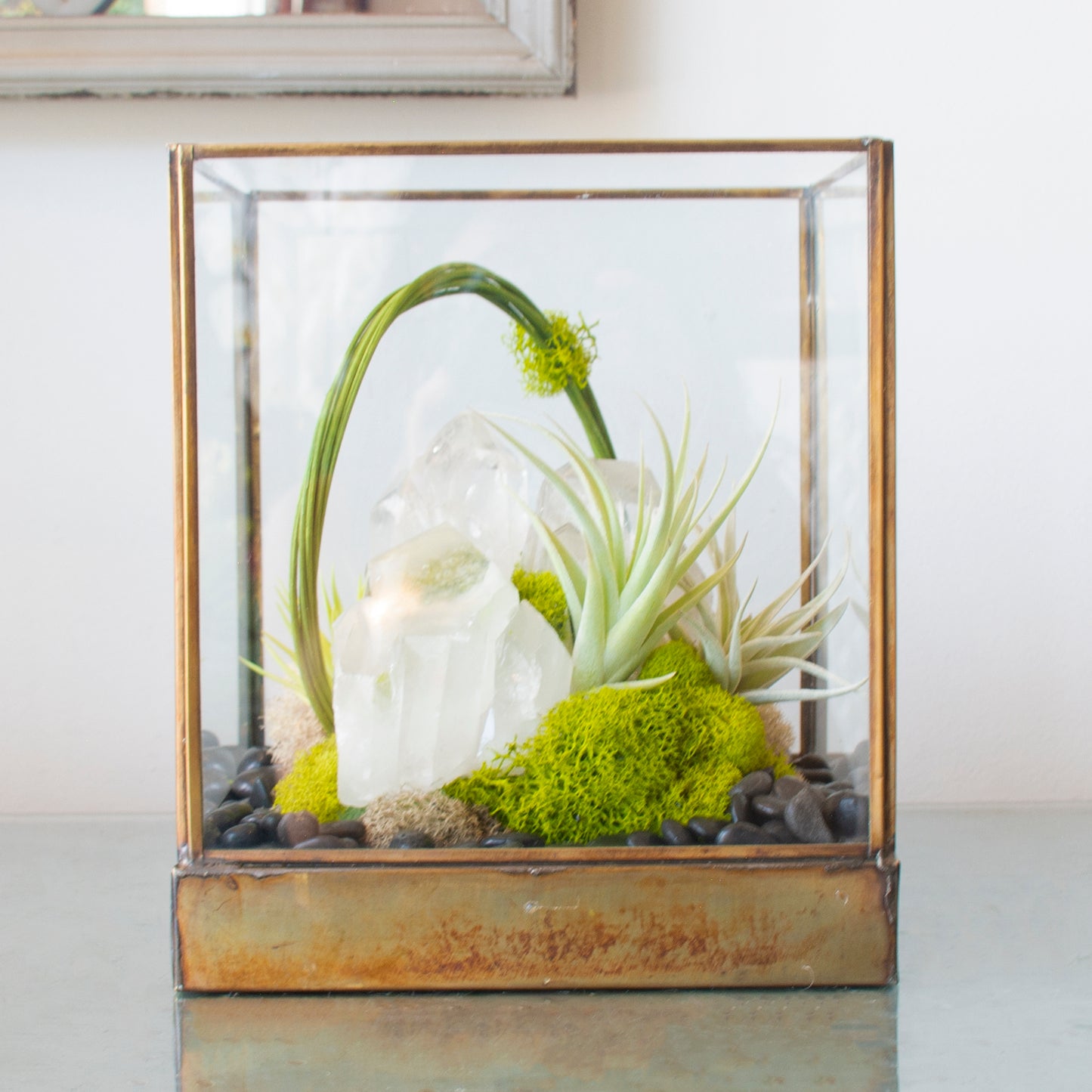 Green Serene - One of a Kind Terrarium
