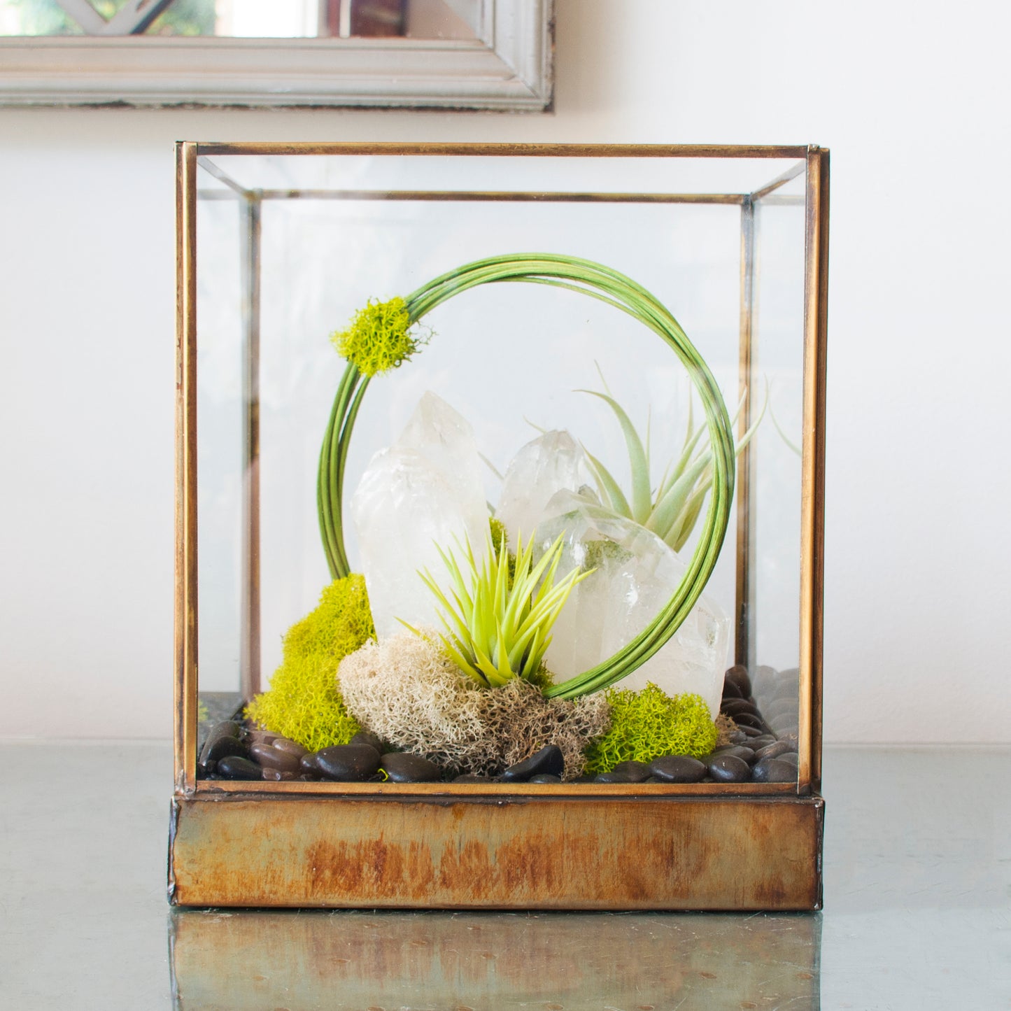 Green Serene - One of a Kind Terrarium