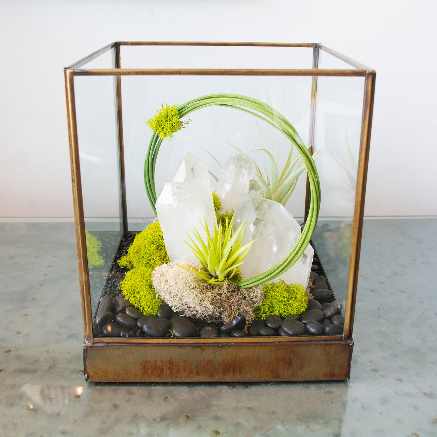 Green Serene - One of a Kind Terrarium