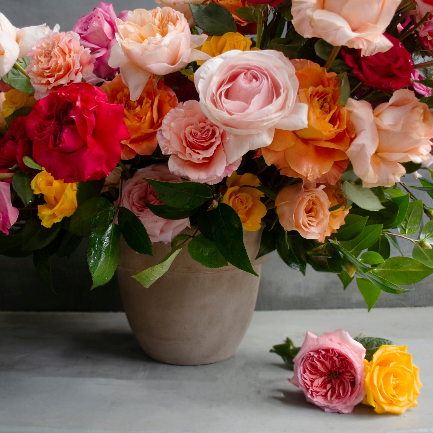 Hampton Rose Garden