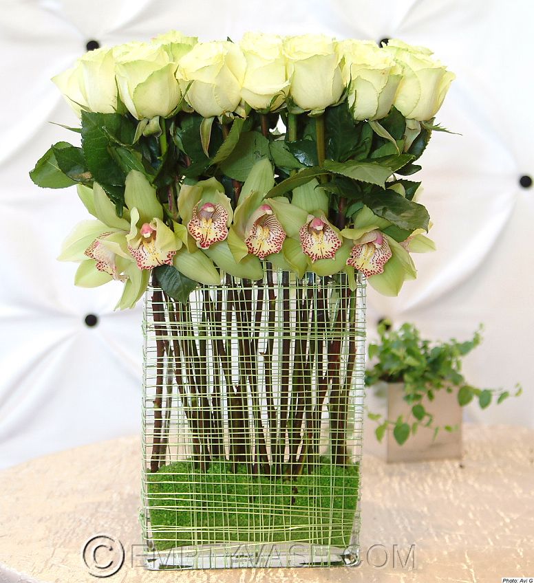 Emerald Orchids