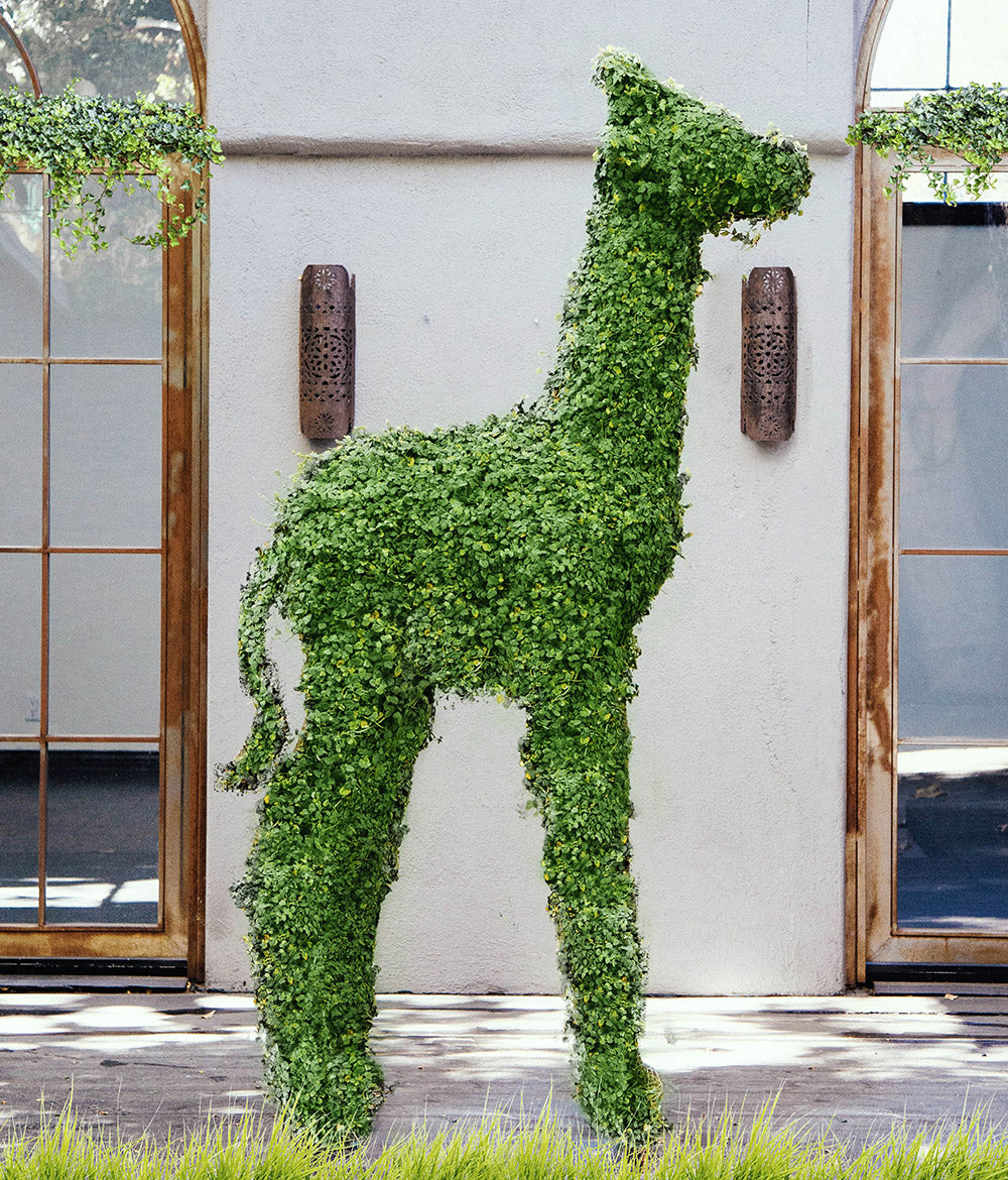 Giraffe Topiary