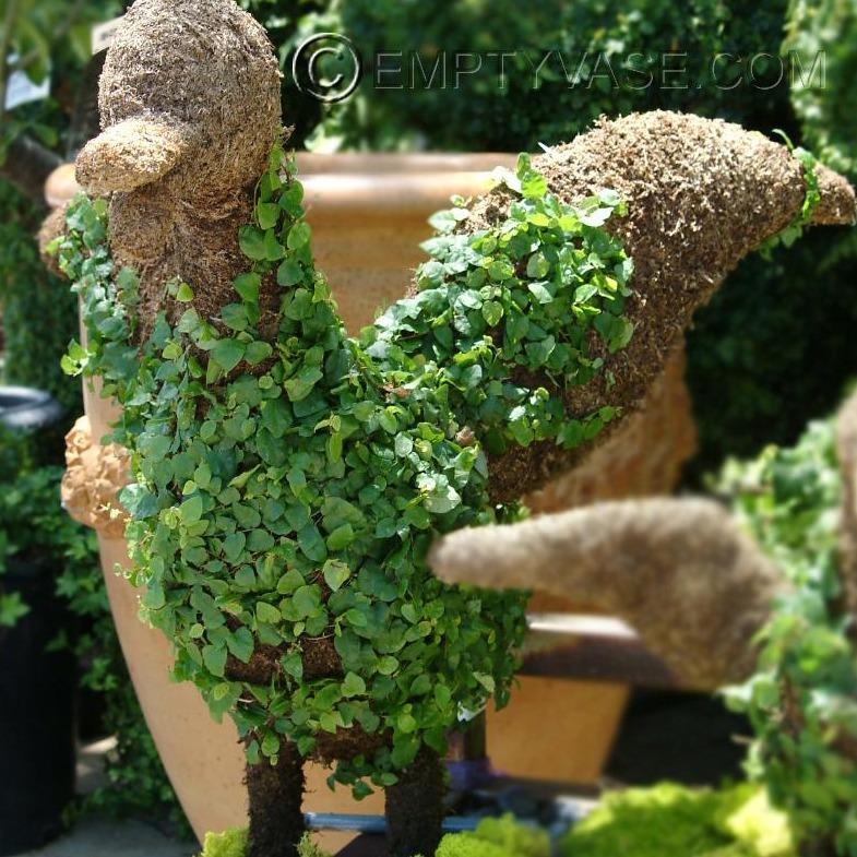 Bird Topiary