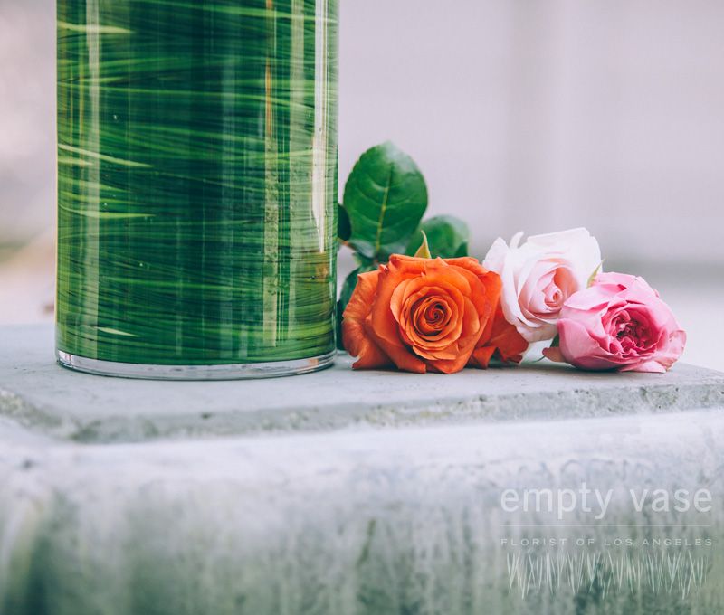 Apricot Delight