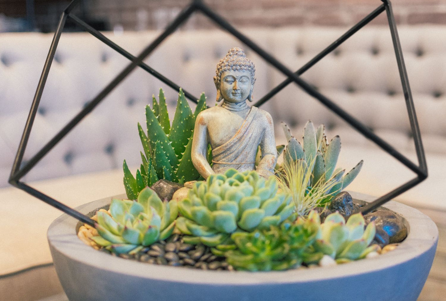 Buddha's Garden