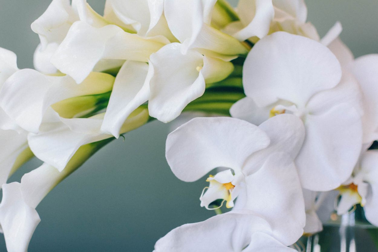 Endless Elegance