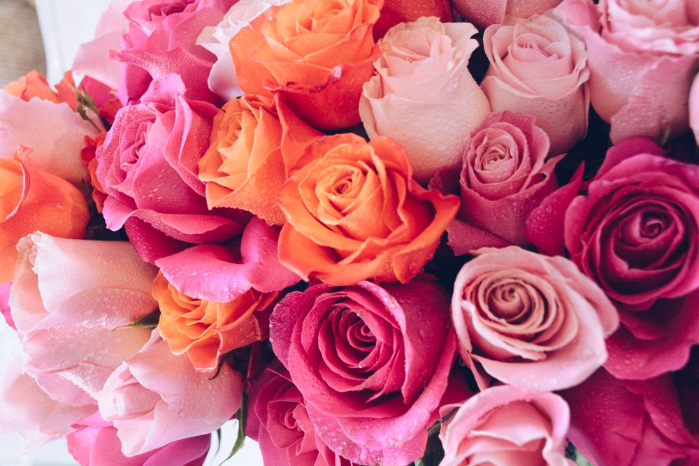 Como la Flor