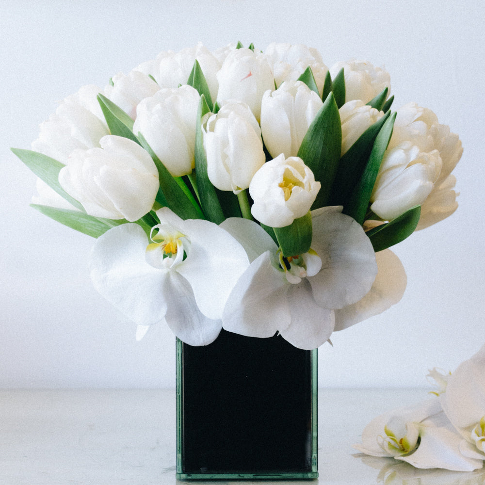 Infinity Tulips