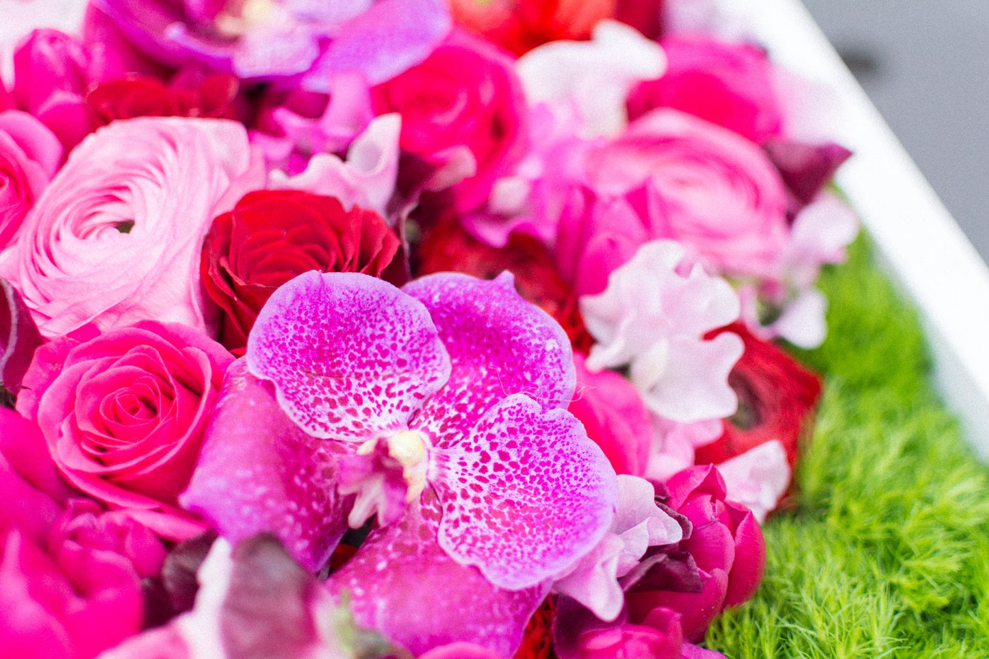 The Blooming Heart