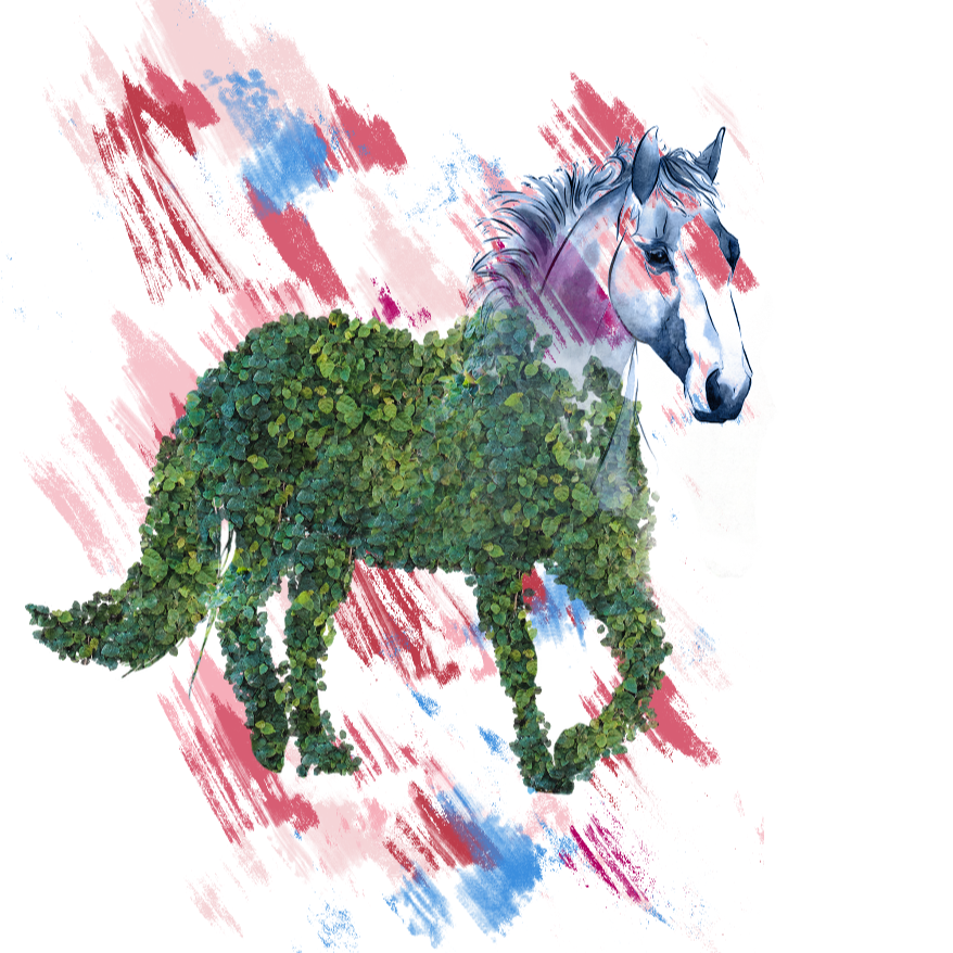 Horse Topiary