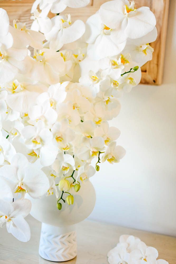 Orchid Ikebana
