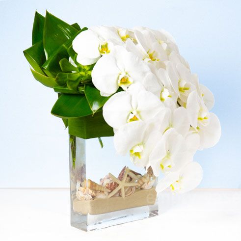 White Orchid Waterfalls