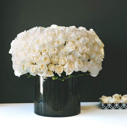 Roses for Coco