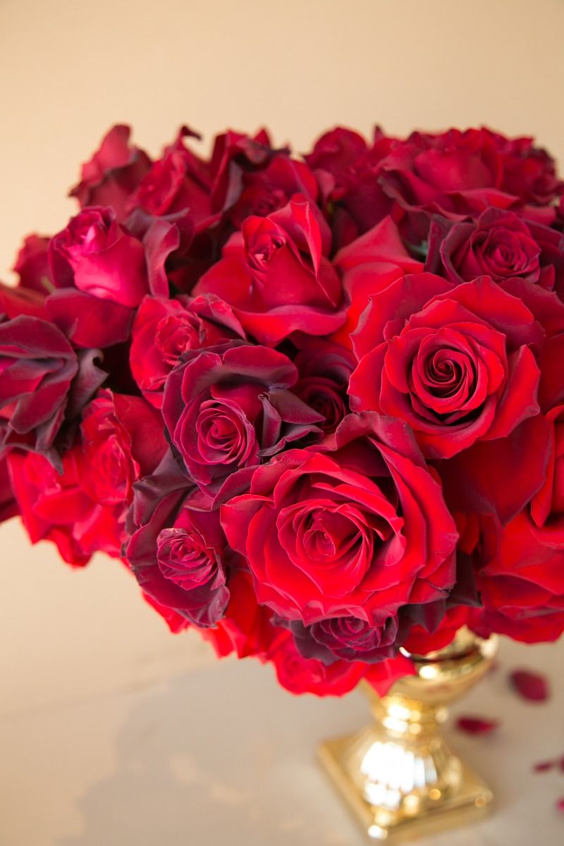 Romeo's Romance