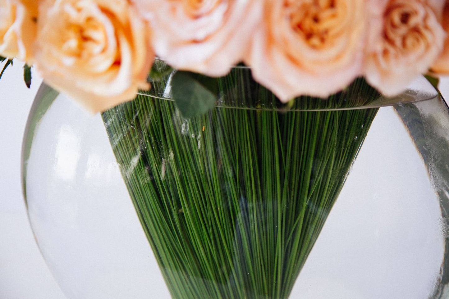 The Santorini Rose