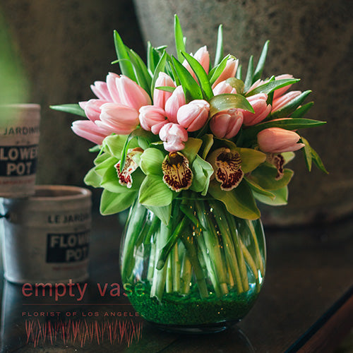 Darling Tulip