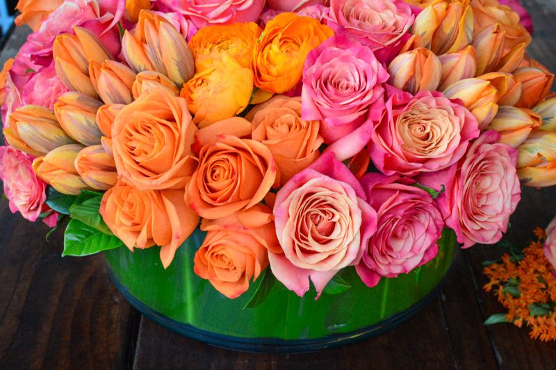 Tulips and Roses, Oh My