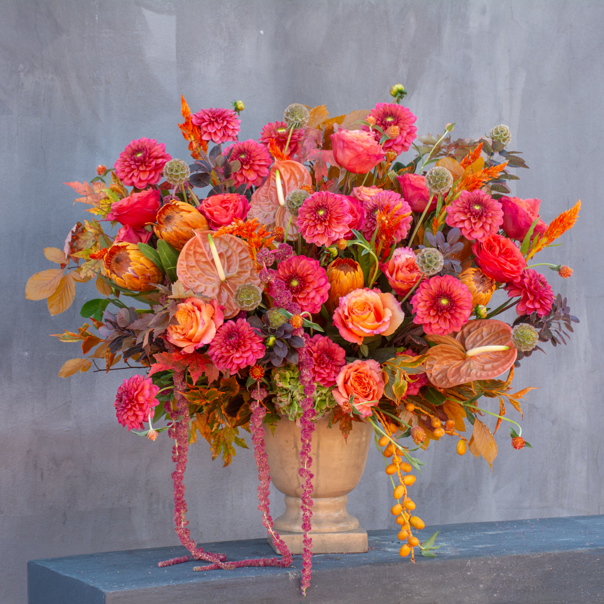 Rosa Picante