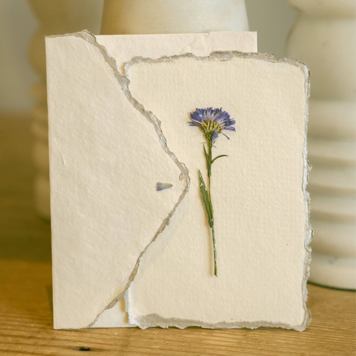 Empty Vase - Handmade Pressed Flower Holiday Postcard - Silver Trim