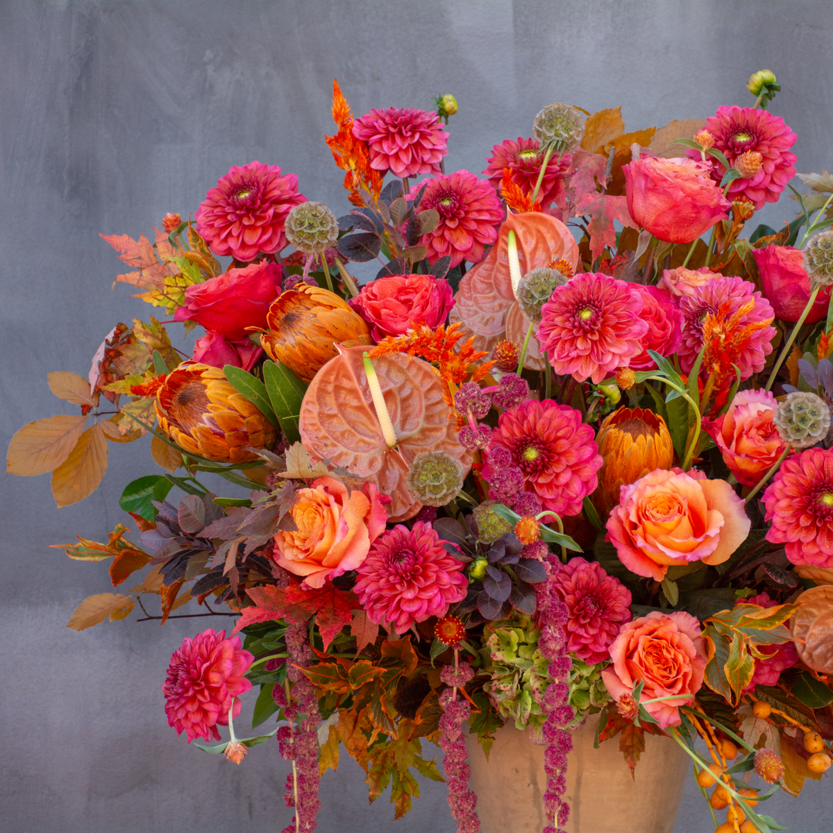 Rosa Picante