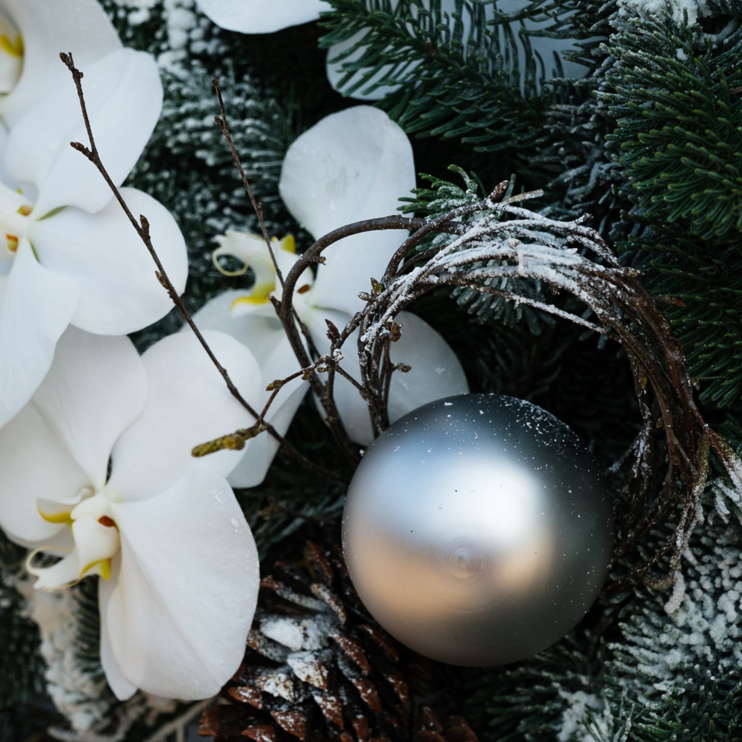 Snowfall Orchid Crest