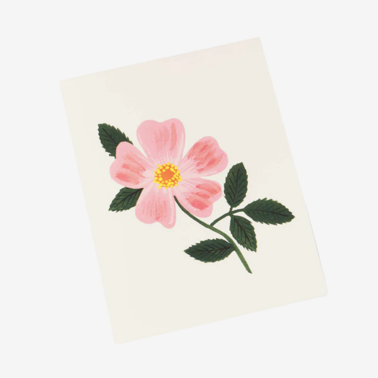 Rifle Paper Co - Wild Prairie Rose - Greeting Card