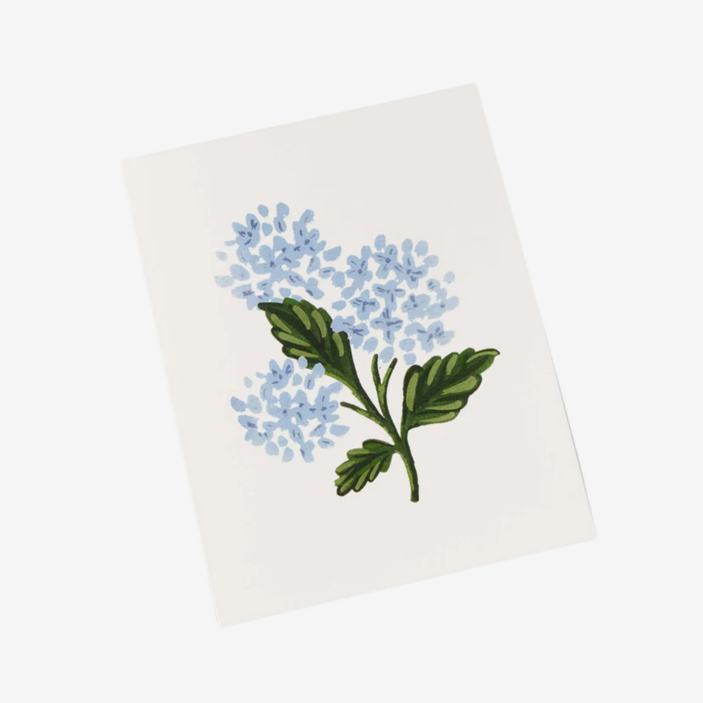 Rifle Paper Co - Hydrangea Bloom - Greeting Card