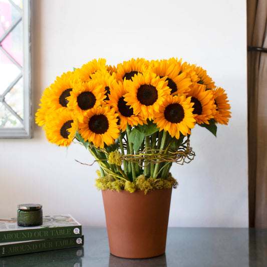 Sunlit Serenade