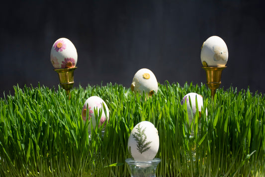 Empty Vase - Ceramic Eggs Limited Edition