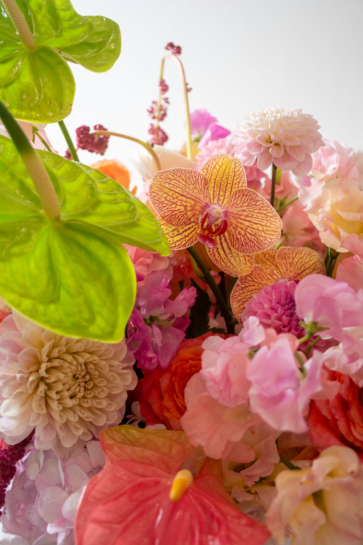 Rite of Spring