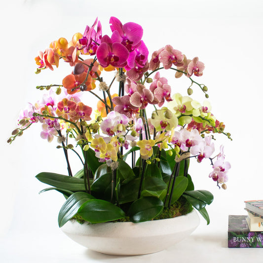 Botanical Light