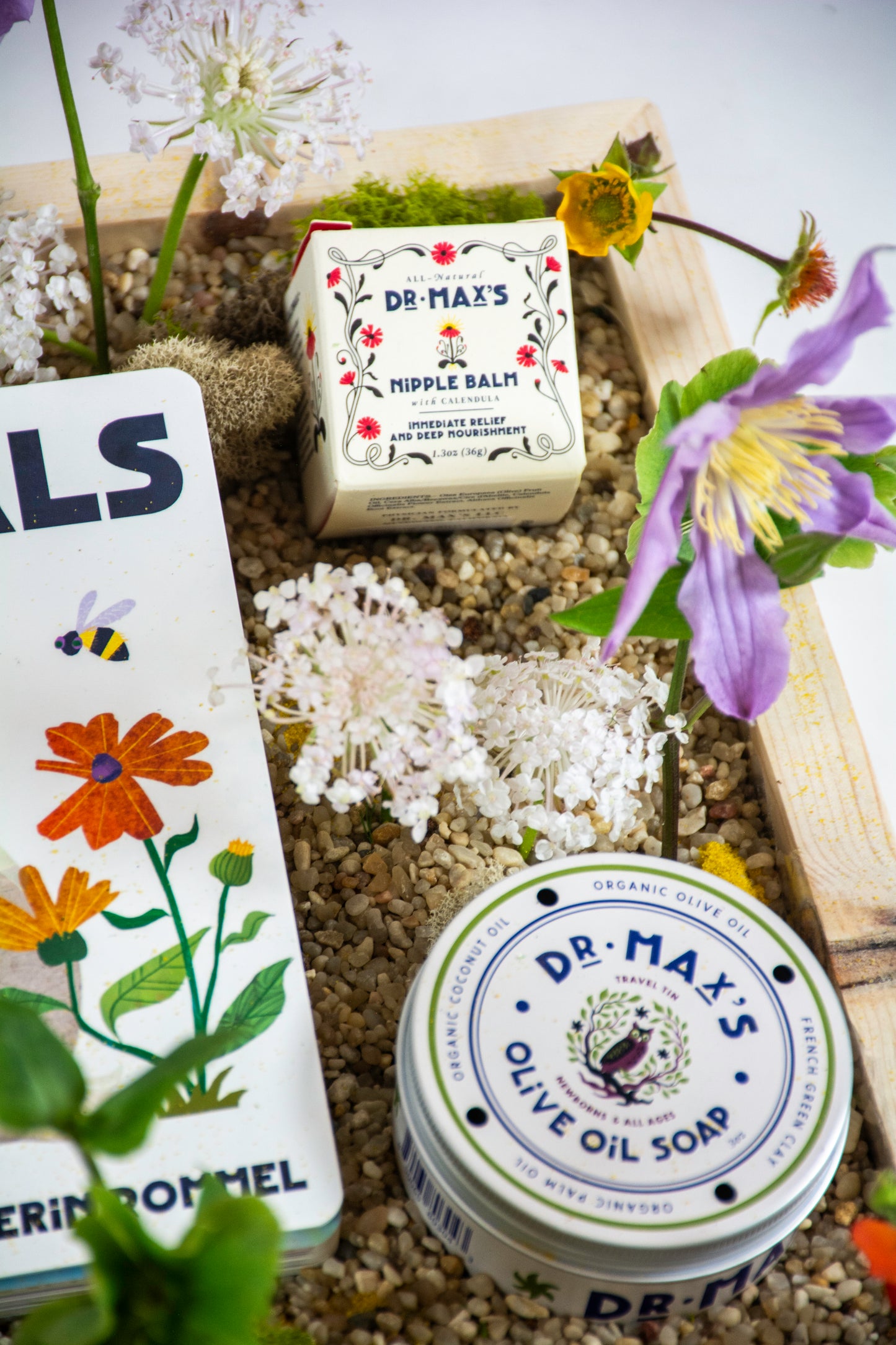 New Baby Gift Box featuring Dr. Max and Alimrose