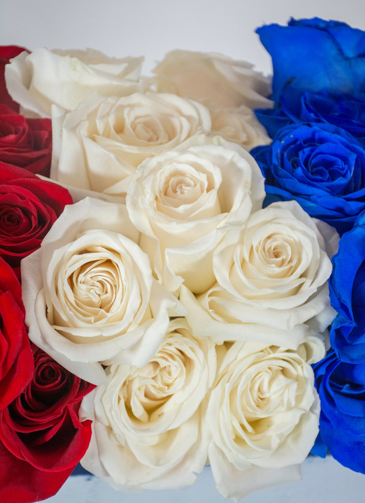 Red, White, and Blooming