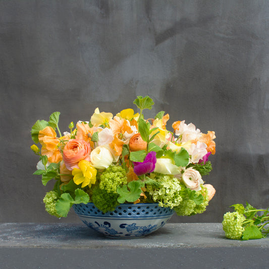 Porcelain Petal Symphony