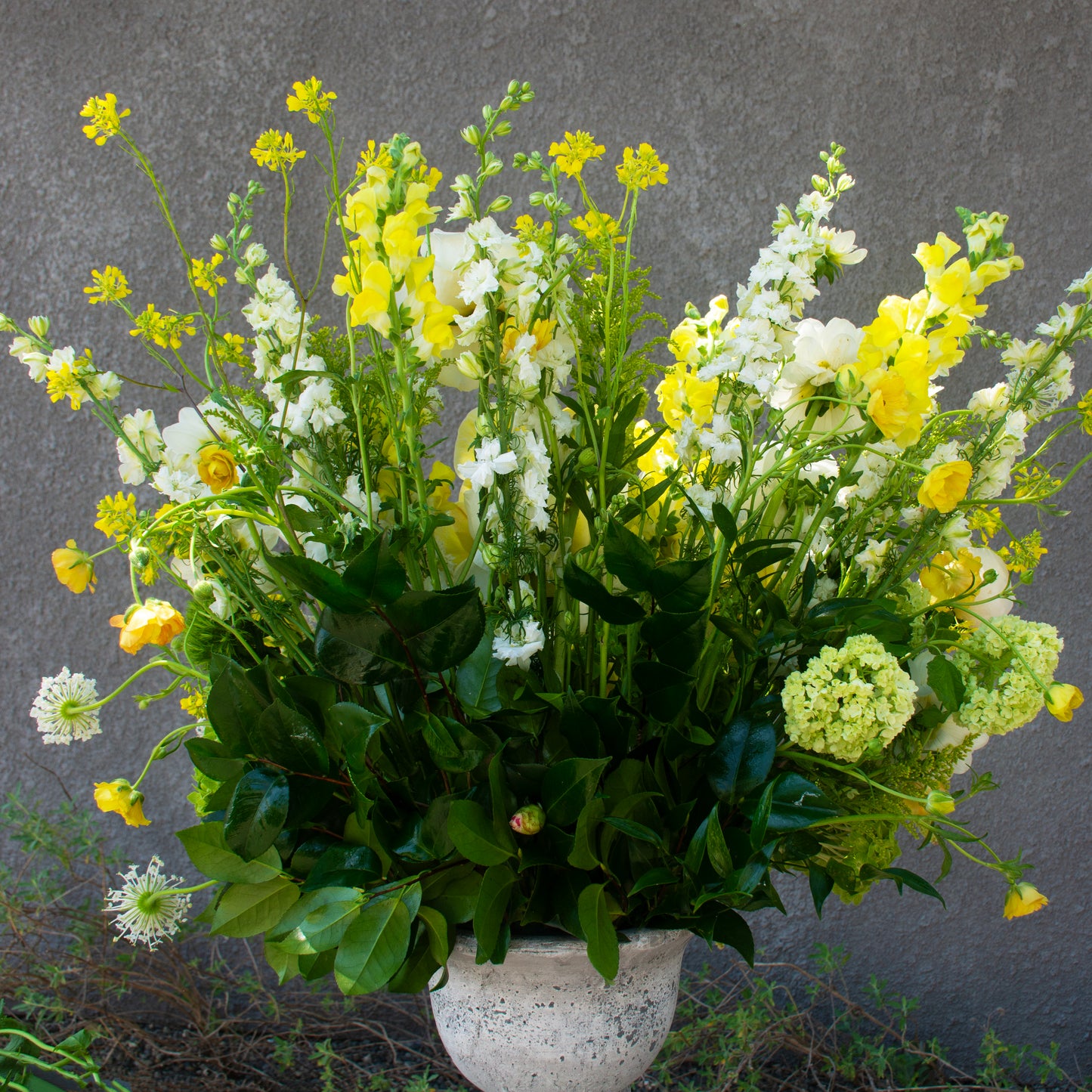 Honeyfield Garden