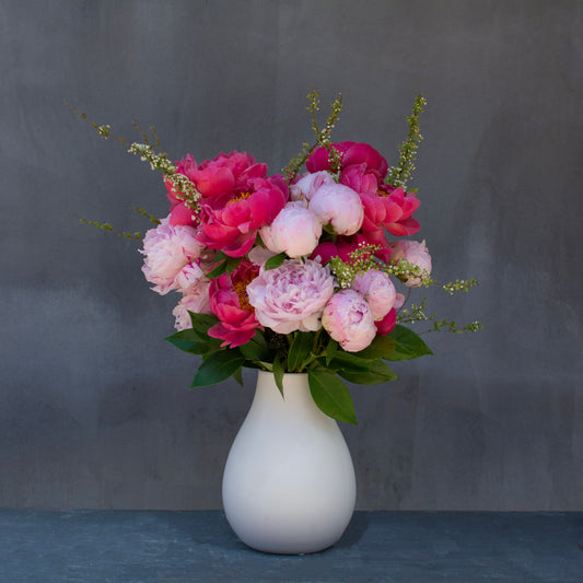 Powder Puff Peonies