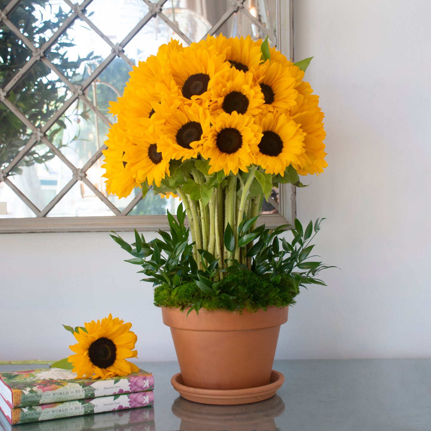 Sunflower Symphony