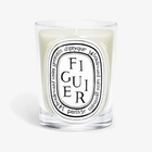 Diptyque Classic Candle 6.7oz Figuier - beveled glass